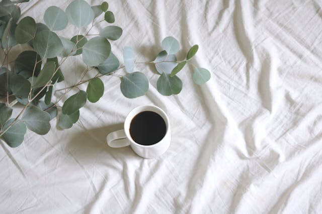Bedsheets Offers Collection-buy/3 